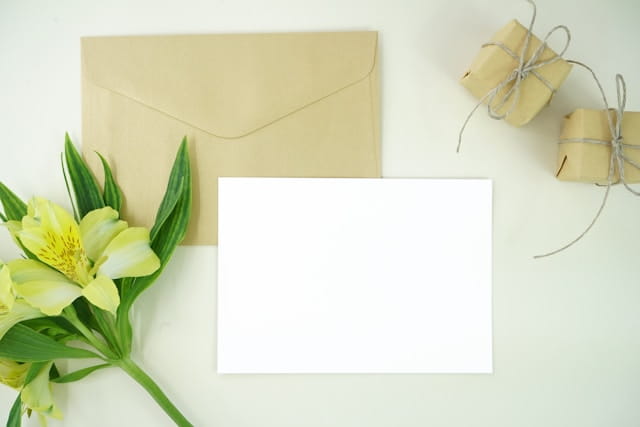 Master Email Campaign Creation: The Complete MailDiver Guide